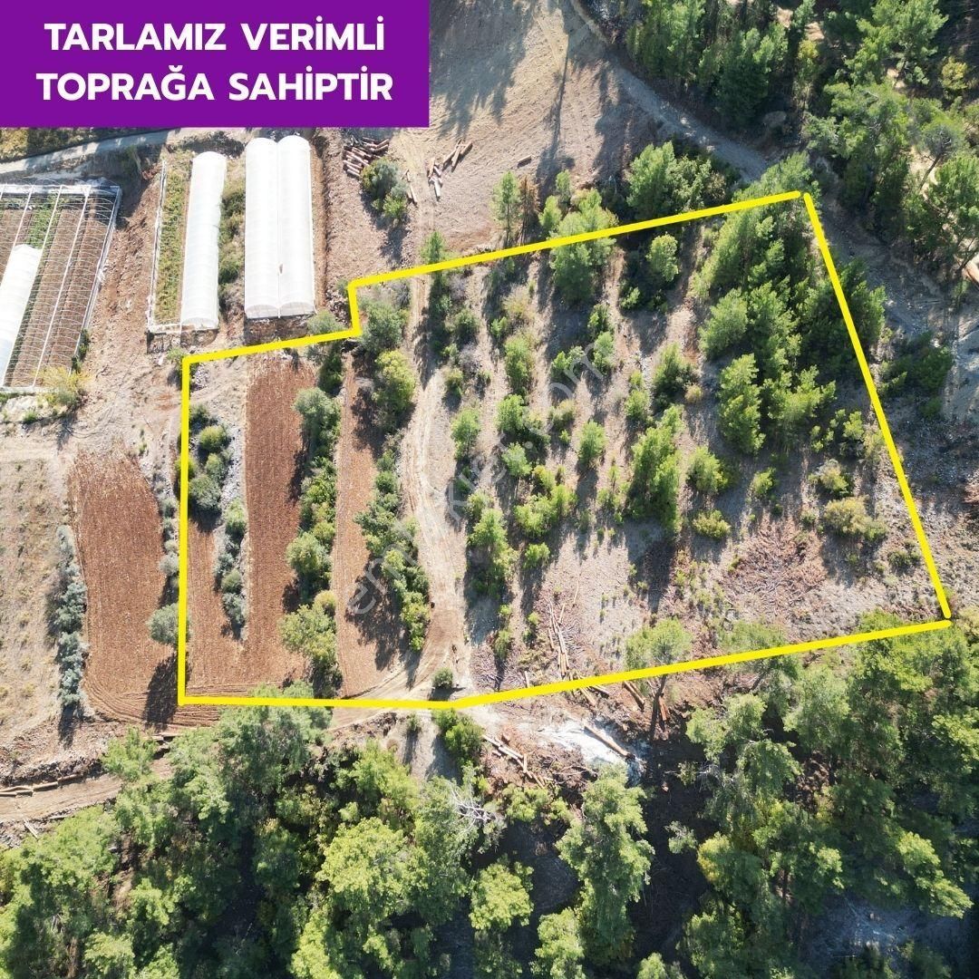🦋çameli Akpınar'da 7606 M² Kargır Ev Kaydı Olan Arazimiz Satılıktır.🦋 - Görsel 2