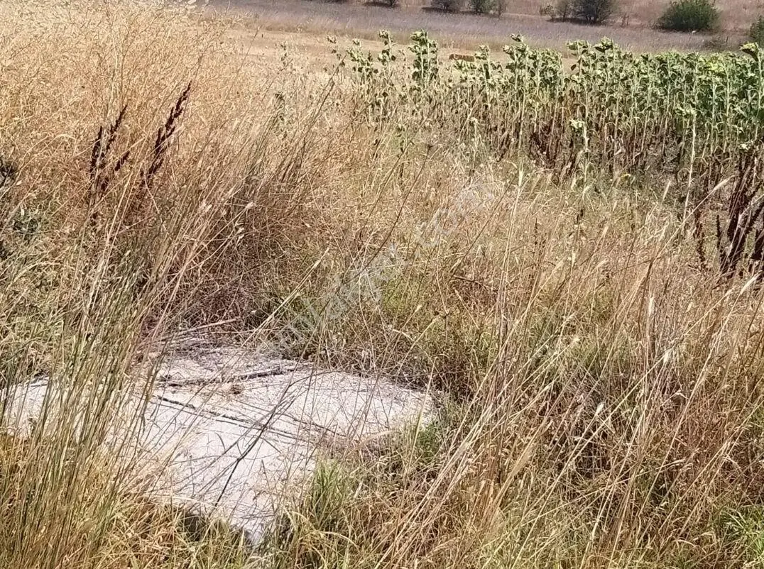 Resmi Kadastro Yola Çift Cepheli Çevreyoluna Yakın Suyu Olan 3949 M2 Arazi - Görsel 2
