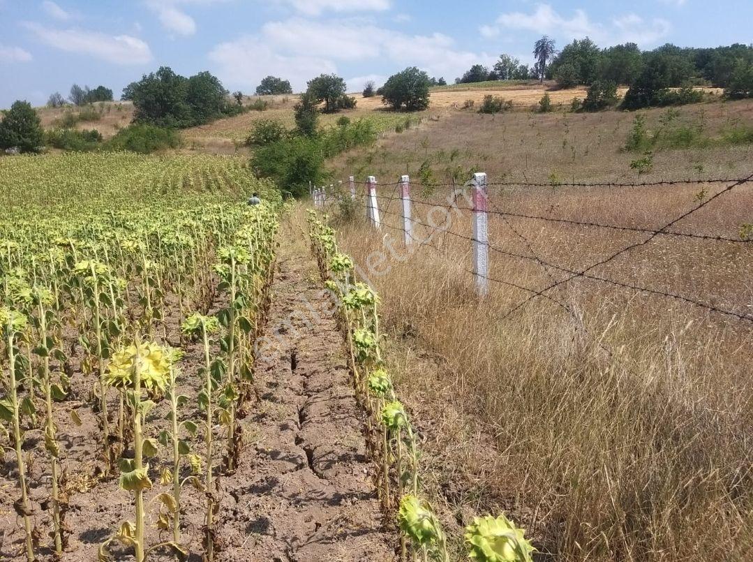 Resmi Kadastro Yola Çift Cepheli Çevreyoluna Yakın Suyu Olan 3949 M2 Arazi