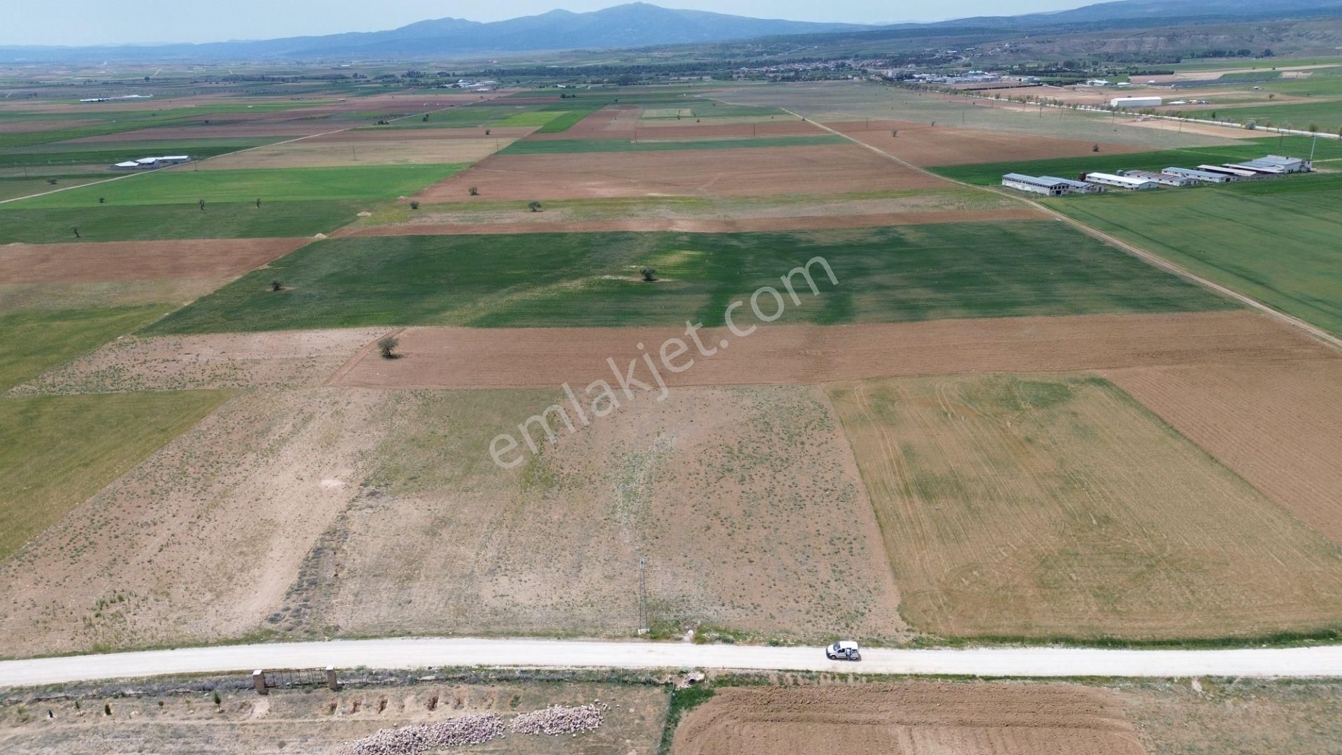Konya / Meram / Hatunsaray Mahallesinde 6.091 M² Müstakil Tapulu Tarla - Görsel 13