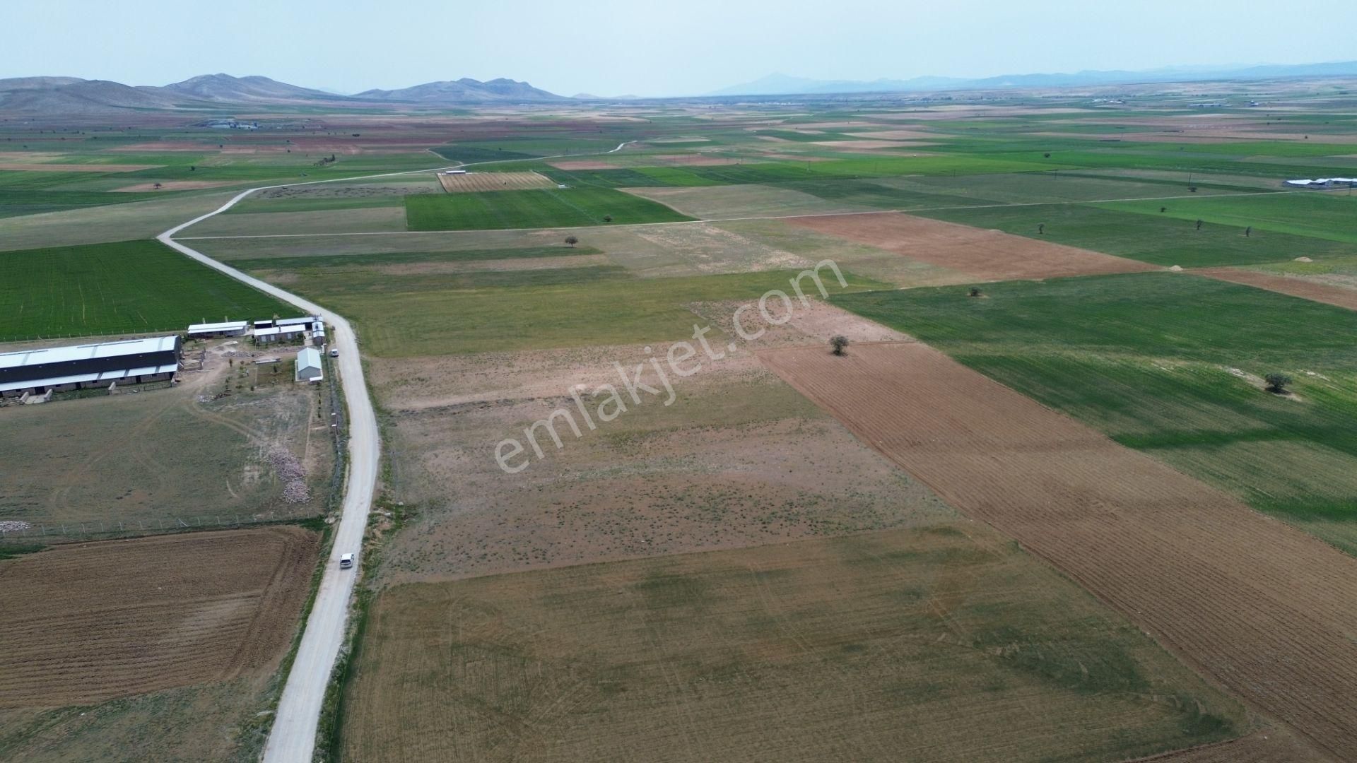 Konya / Meram / Hatunsaray Mahallesinde 6.091 M² Müstakil Tapulu Tarla - Görsel 2
