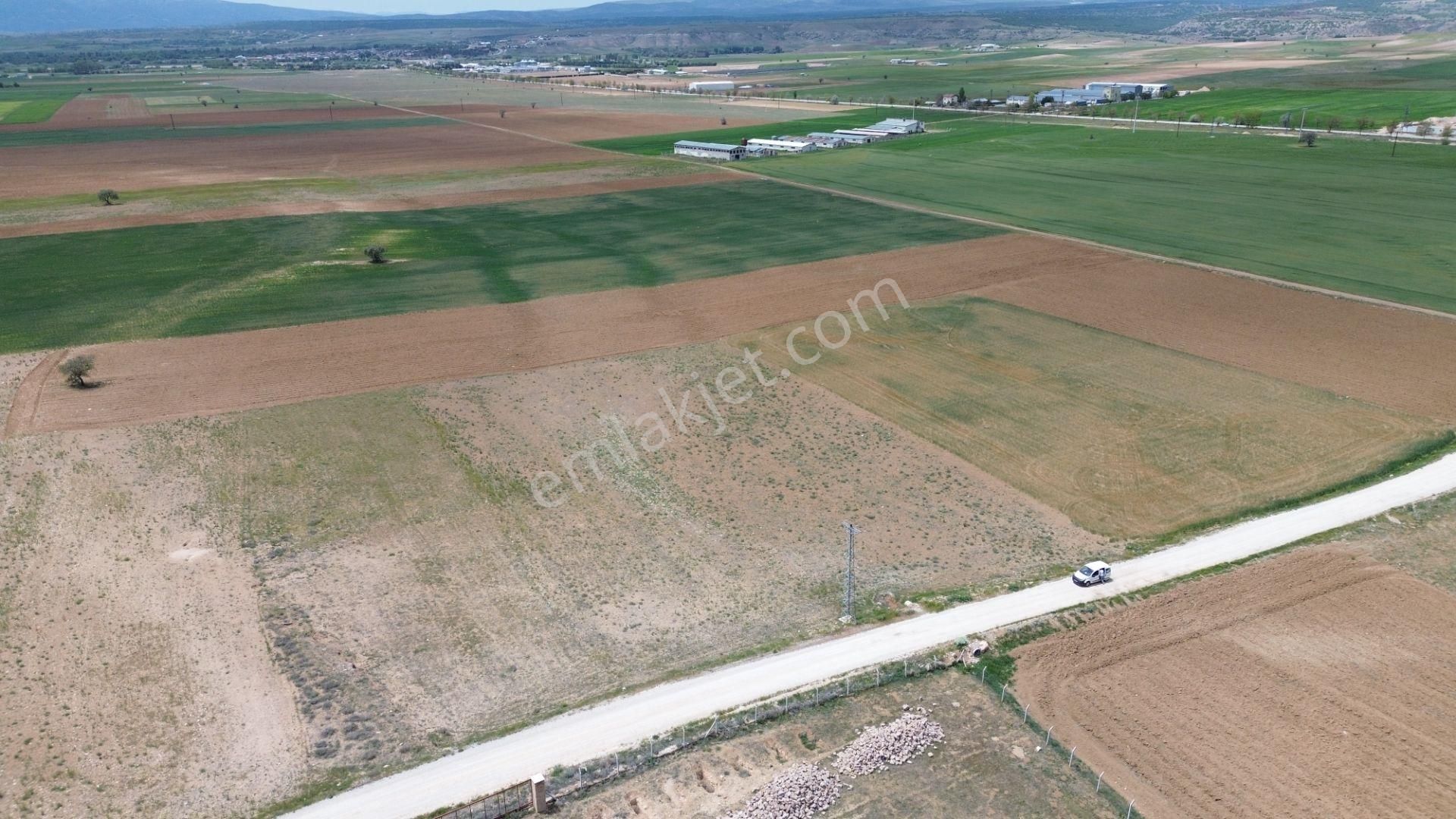 Konya / Meram / Hatunsaray Mahallesinde 6.091 M² Müstakil Tapulu Tarla - Görsel 12