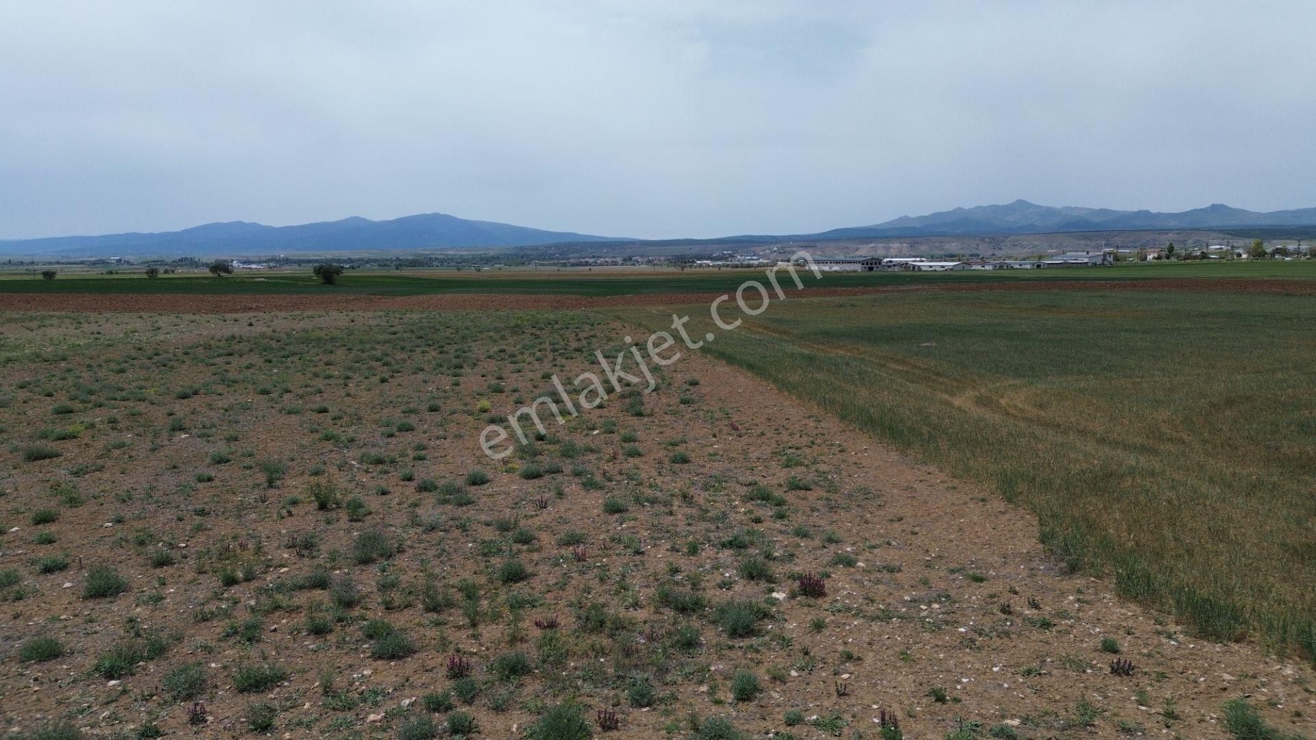 Konya / Meram / Hatunsaray Mahallesinde 6.091 M² Müstakil Tapulu Tarla - Görsel 15
