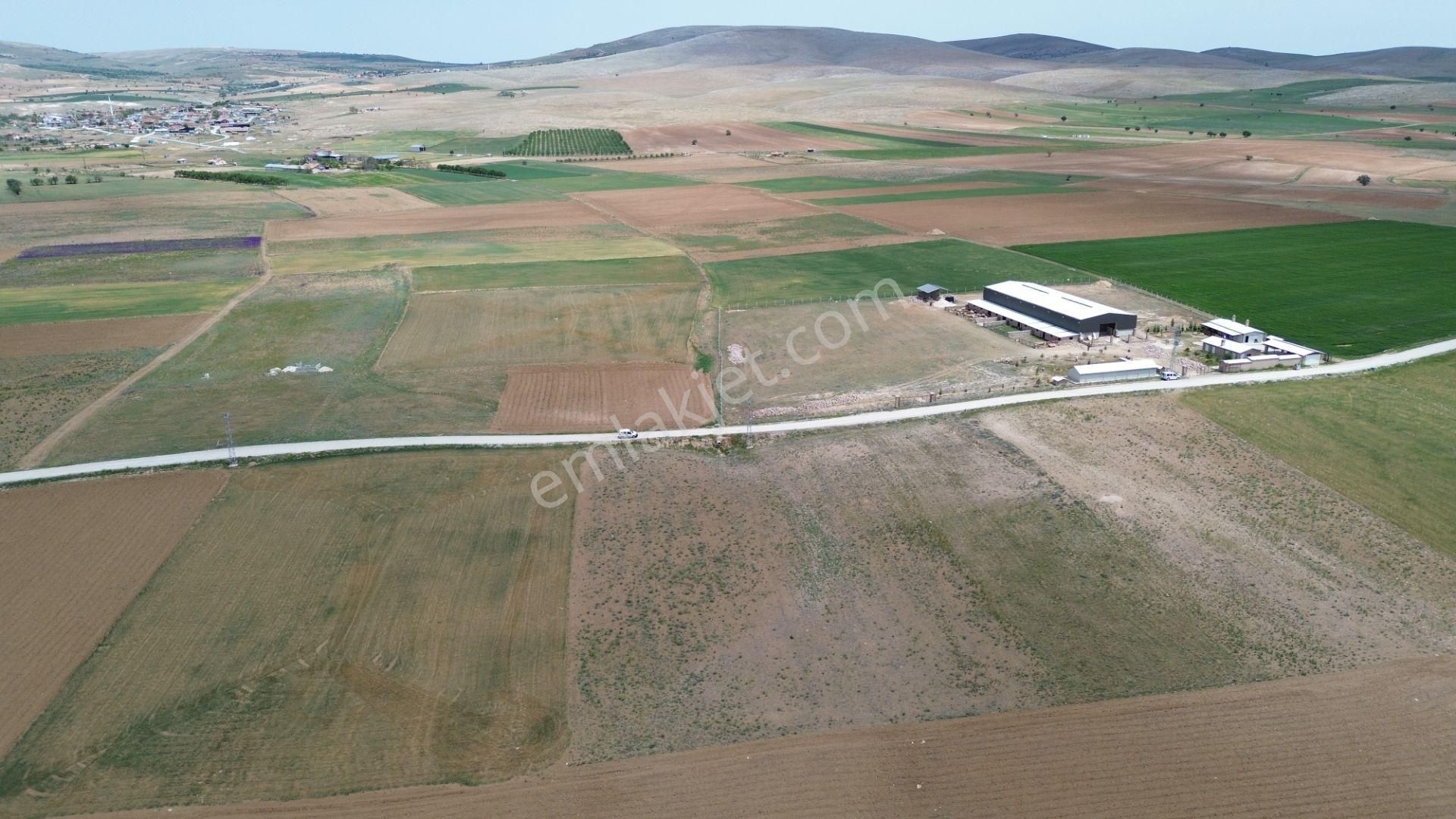 Konya / Meram / Hatunsaray Mahallesinde 6.091 M² Müstakil Tapulu Tarla - Görsel 6