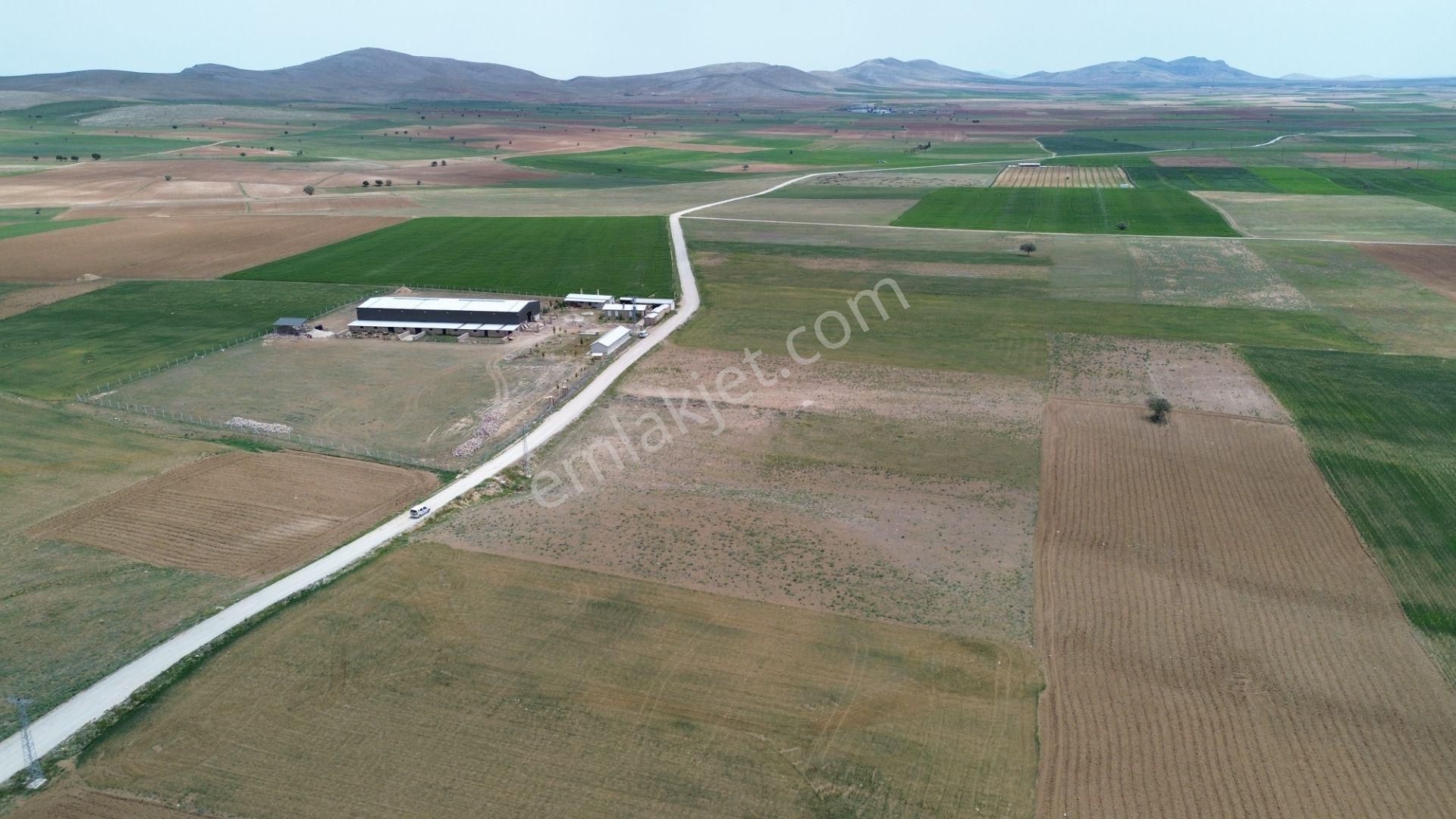 Konya / Meram / Hatunsaray Mahallesinde 6.091 M² Müstakil Tapulu Tarla - Görsel 4