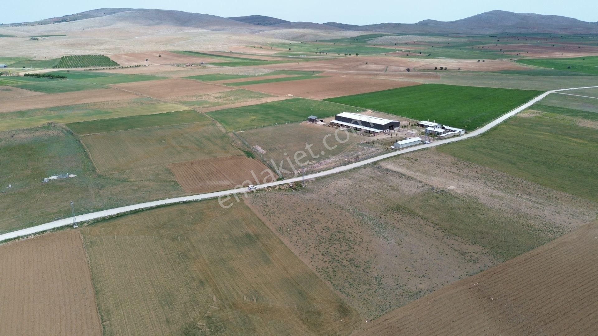 Konya / Meram / Hatunsaray Mahallesinde 6.091 M² Müstakil Tapulu Tarla - Görsel 8