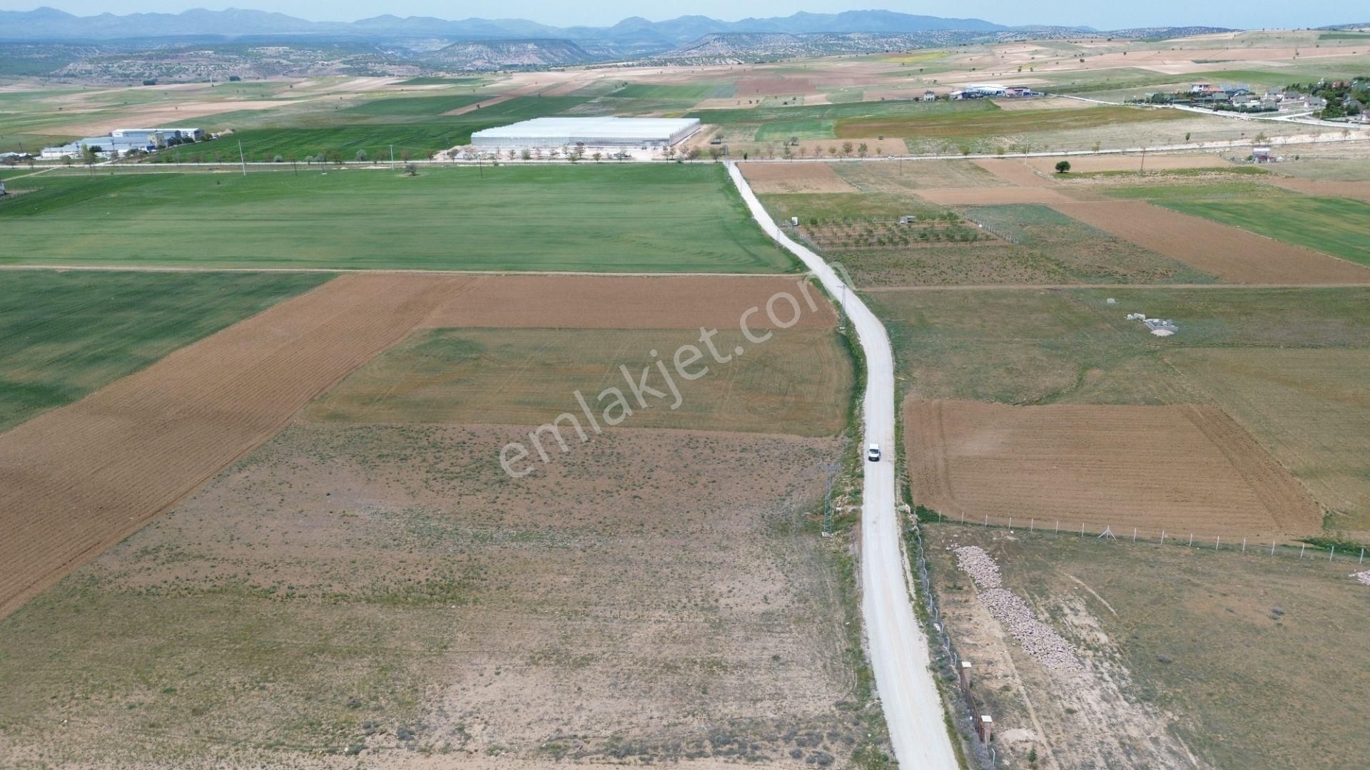 Konya / Meram / Hatunsaray Mahallesinde 6.091 M² Müstakil Tapulu Tarla - Görsel 11