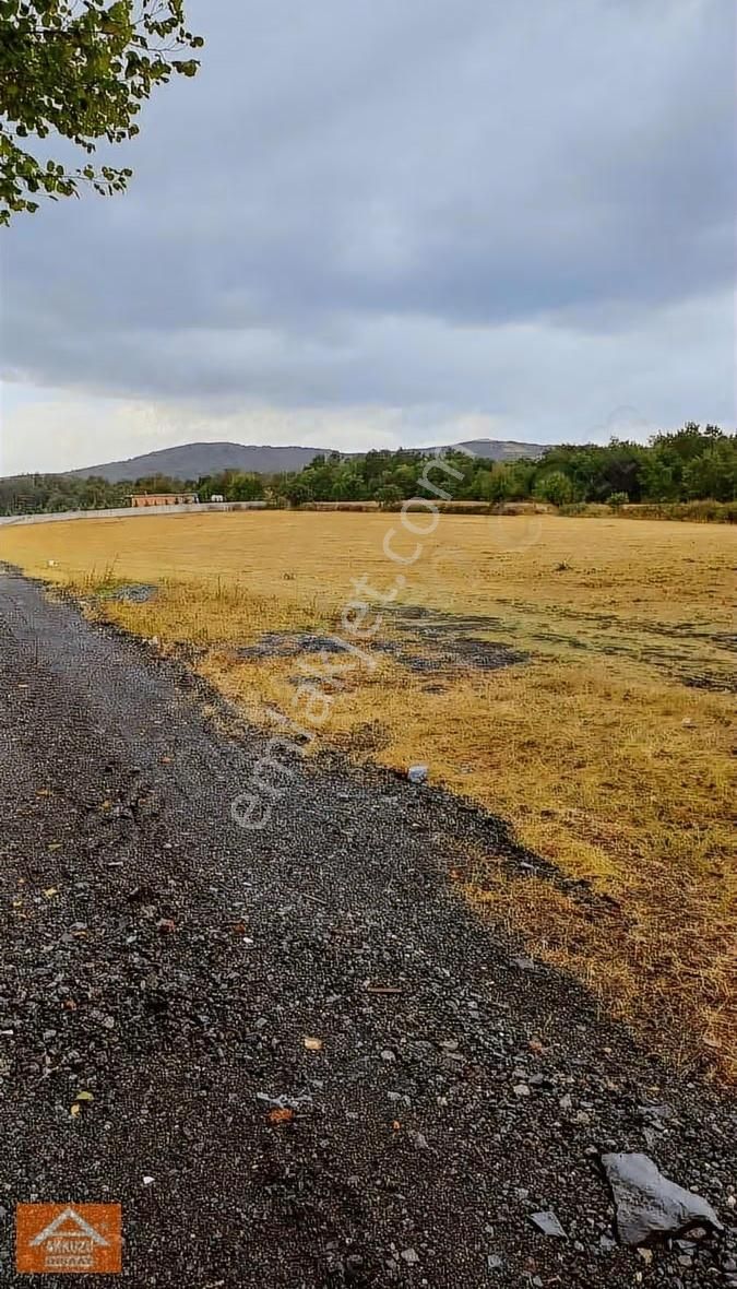 Kalfa Köyde 1840 M2 Muvakatlı Tarla - Görsel 5