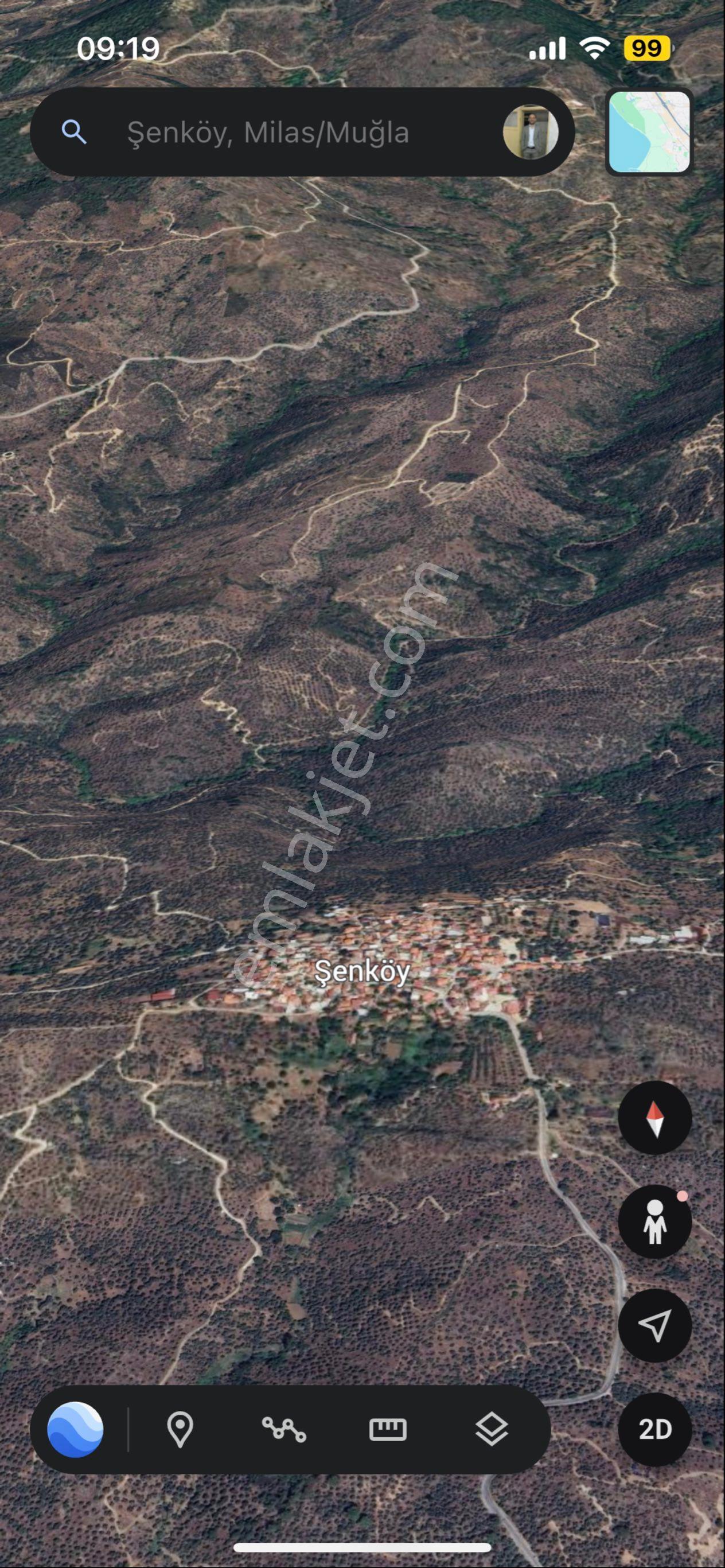 Muğla Milas Şenköyde Satılık Zeytinlik - Görsel 4