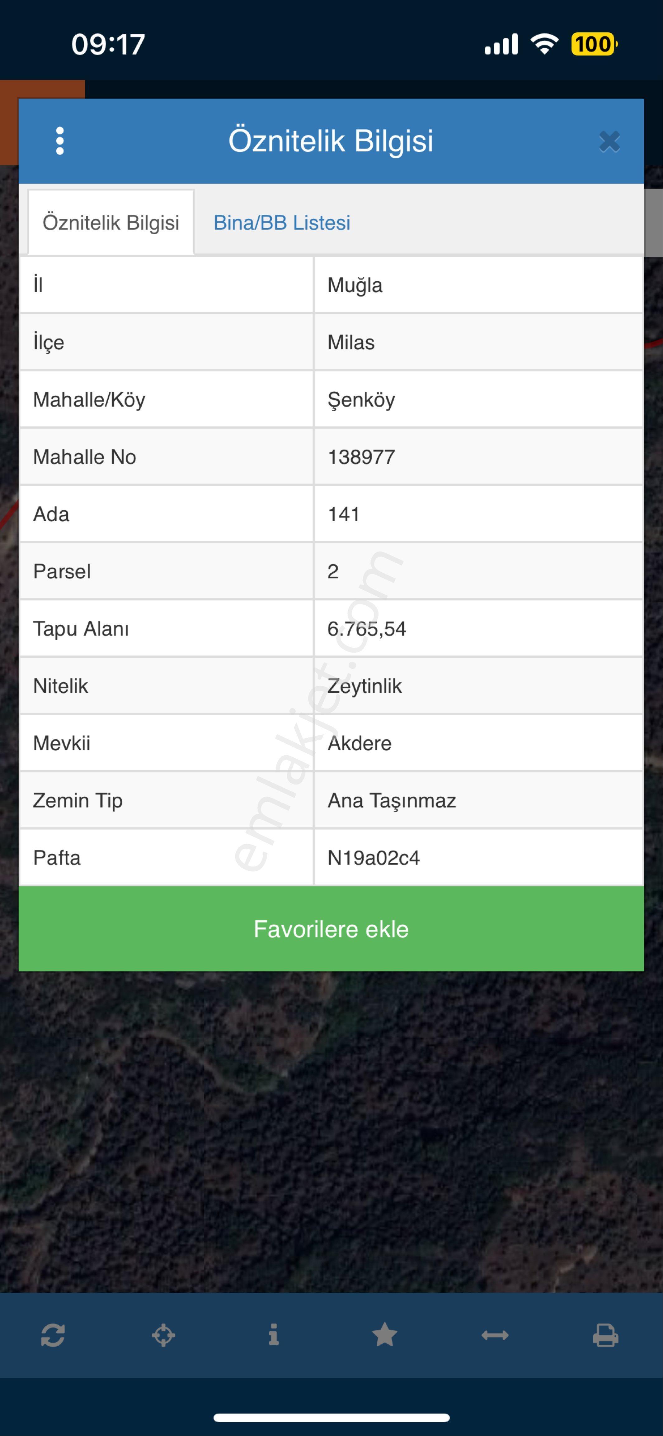 Muğla Milas Şenköyde Satılık Zeytinlik - Görsel 2