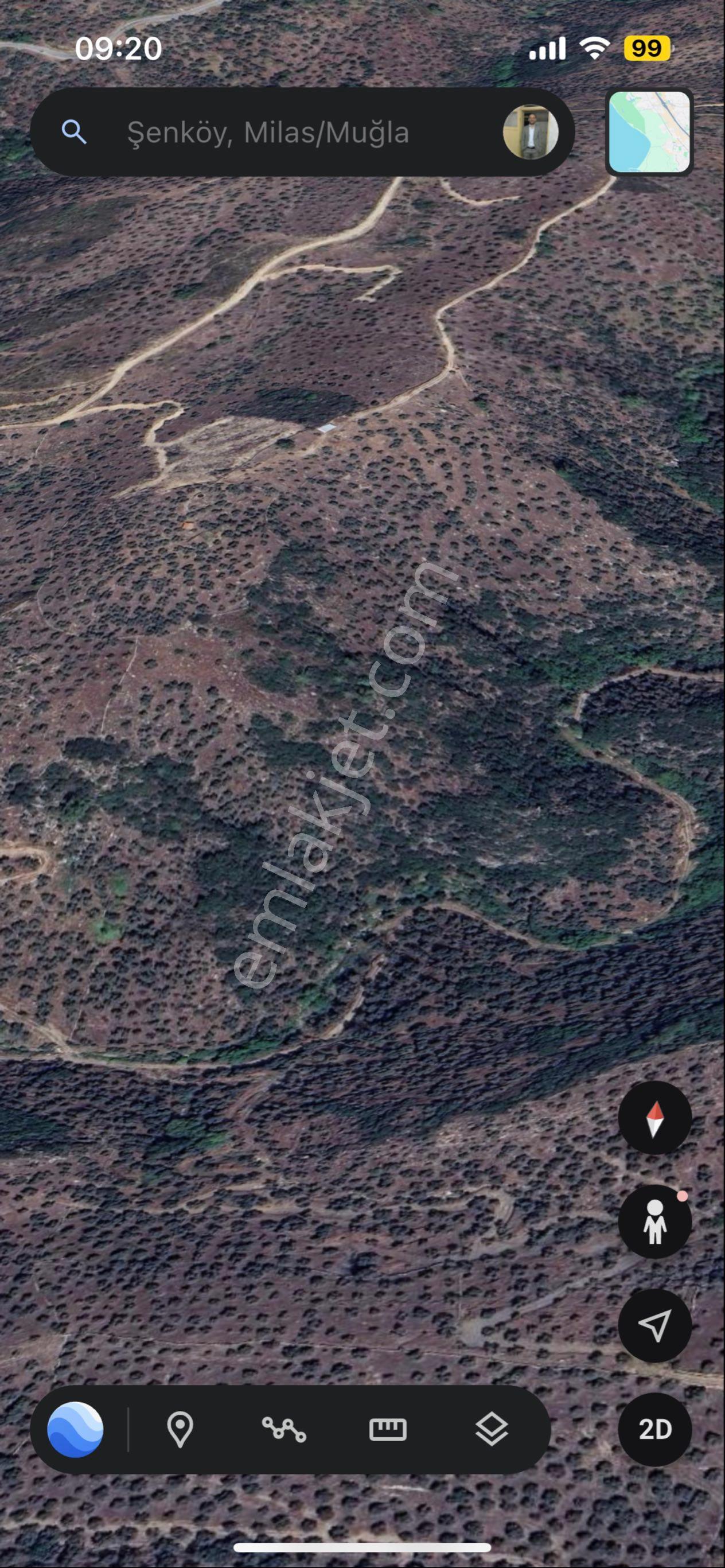 Muğla Milas Şenköyde Satılık Zeytinlik - Görsel 6