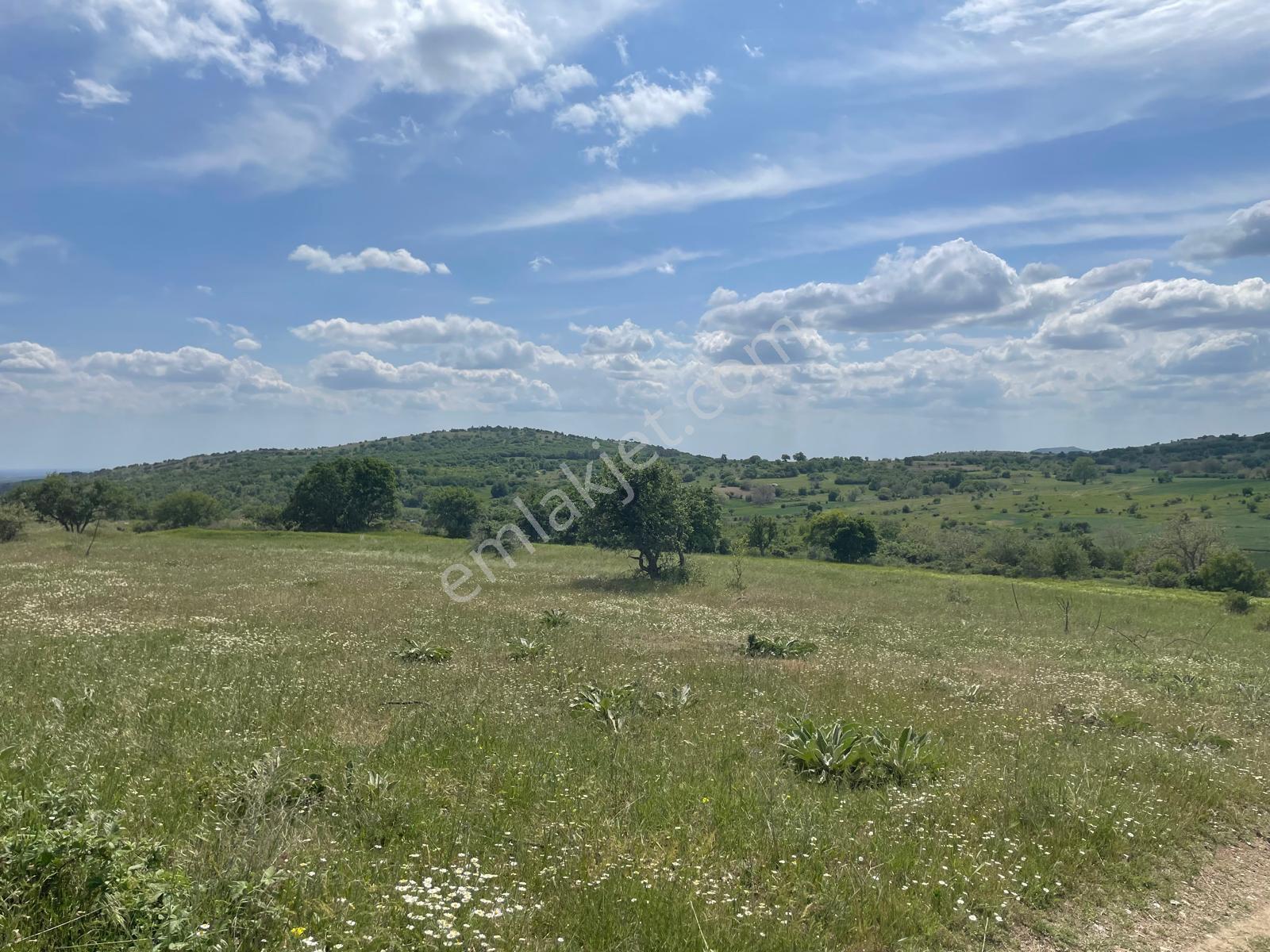 Kırklareli Kofçaz Elmacıkta Satılık Kupon 2.693 M2 Tarla - Görsel 33