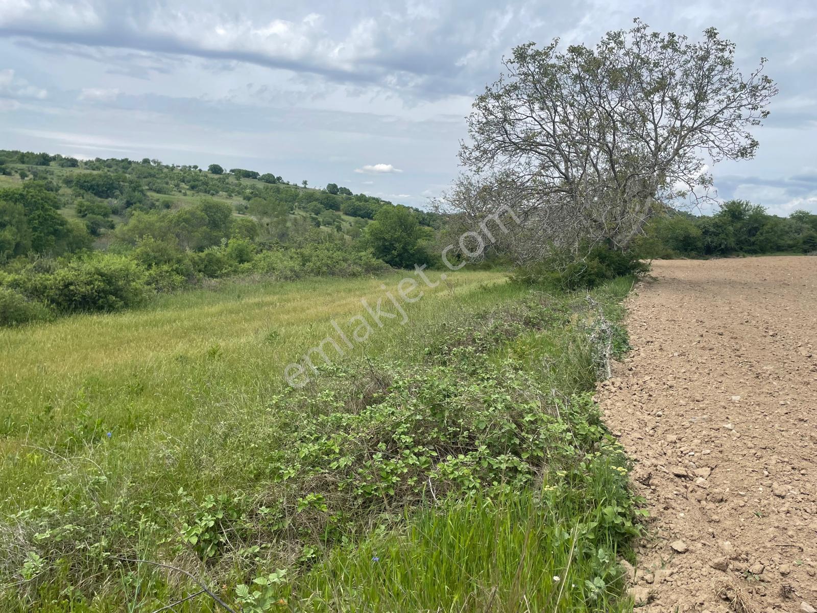 Kırklareli Kofçaz Elmacıkta Satılık Kupon 2.693 M2 Tarla - Görsel 27