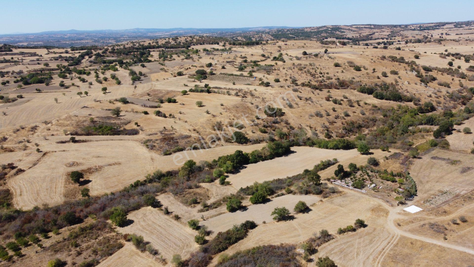 Kırklareli Kofçaz Elmacıkta Satılık Kupon 2.693 M2 Tarla - Görsel 14