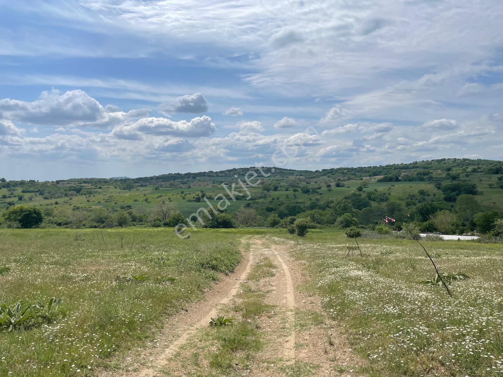 Kırklareli Kofçaz Elmacıkta Satılık Kupon 2.693 M2 Tarla - Görsel 31