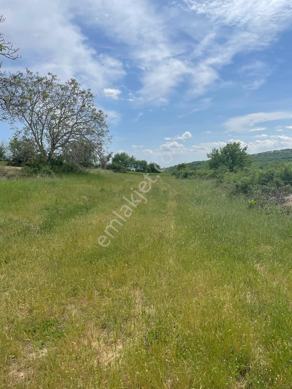 Kırklareli Kofçaz Elmacıkta Satılık Kupon 2.693 M2 Tarla - Görsel 28