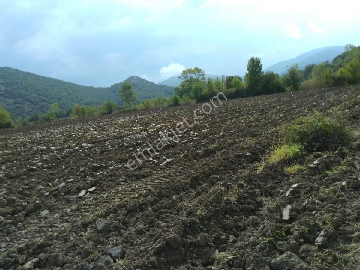 Bursa Yenişehirde Kaçmaz Fırsat ! 23.427 M² Yola Cepheli Tarla - Görsel 2