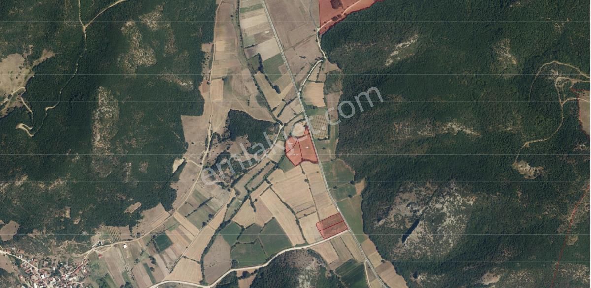 Bursa Yenişehirde Kaçmaz Fırsat ! 23.427 M² Yola Cepheli Tarla - Görsel 8