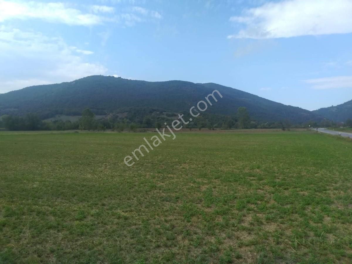 Bursa Yenişehirde Kaçmaz Fırsat ! 23.427 M² Yola Cepheli Tarla - Görsel 18