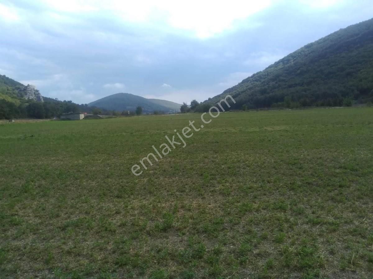 Bursa Yenişehirde Kaçmaz Fırsat ! 23.427 M² Yola Cepheli Tarla - Görsel 32