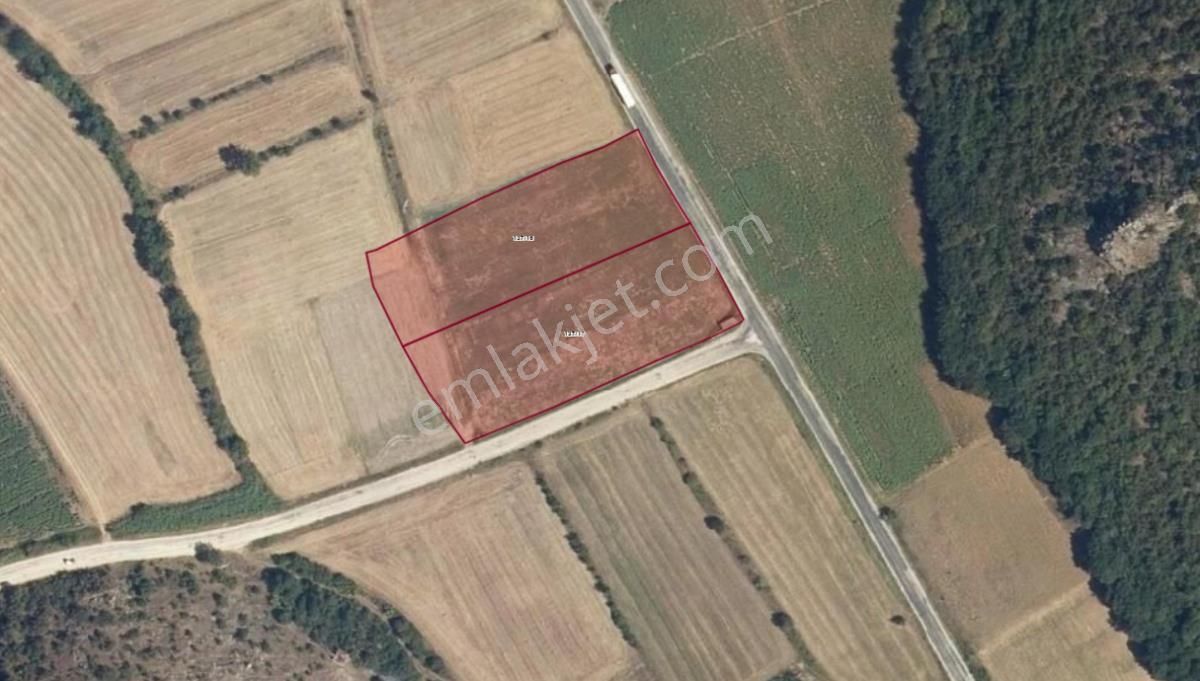 Bursa Yenişehirde Kaçmaz Fırsat ! 23.427 M² Yola Cepheli Tarla - Görsel 6