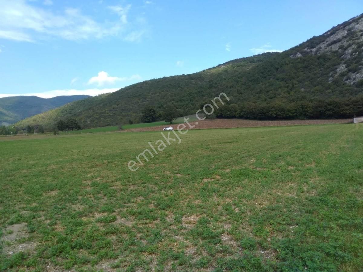 Bursa Yenişehirde Kaçmaz Fırsat ! 23.427 M² Yola Cepheli Tarla - Görsel 27