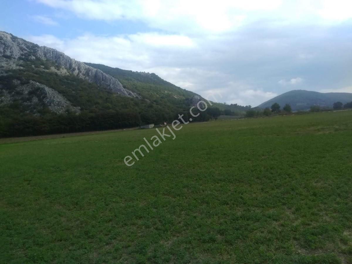 Bursa Yenişehirde Kaçmaz Fırsat ! 23.427 M² Yola Cepheli Tarla - Görsel 15