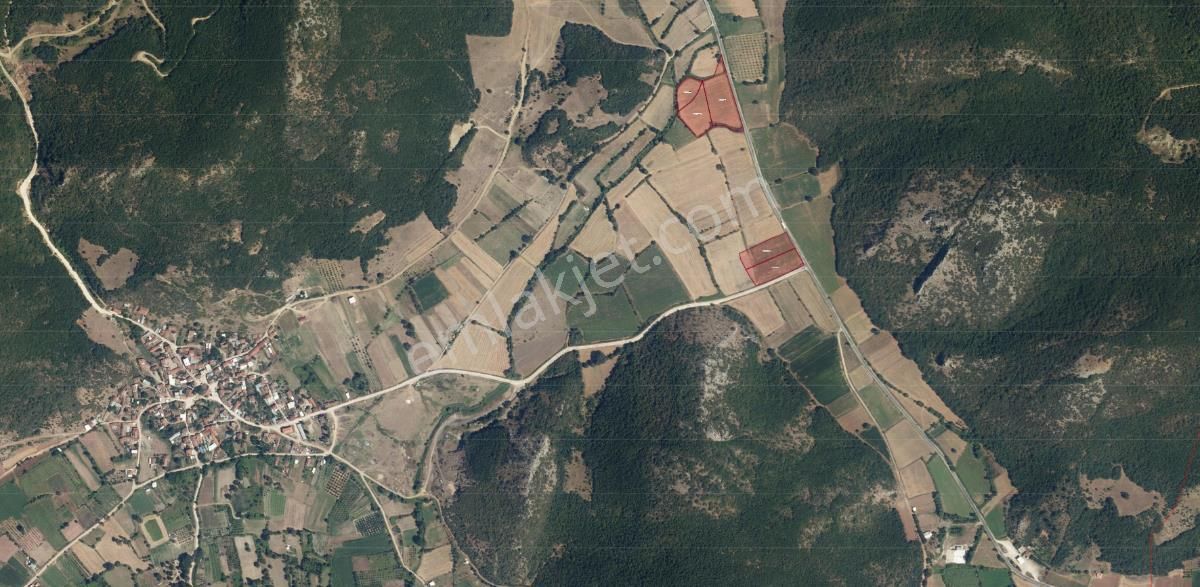 Bursa Yenişehirde Kaçmaz Fırsat ! 23.427 M² Yola Cepheli Tarla - Görsel 9