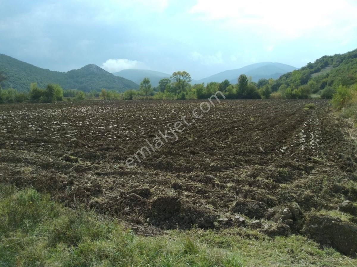 Bursa Yenişehirde Kaçmaz Fırsat ! 23.427 M² Yola Cepheli Tarla - Görsel 3