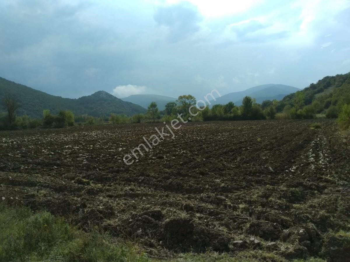 Bursa Yenişehirde Kaçmaz Fırsat ! 23.427 M² Yola Cepheli Tarla - Görsel 4