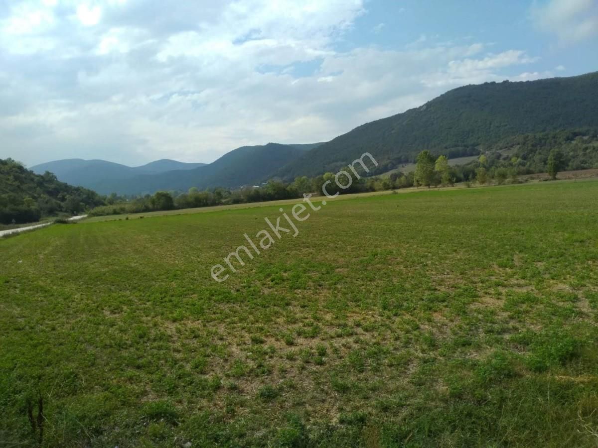 Bursa Yenişehirde Kaçmaz Fırsat ! 23.427 M² Yola Cepheli Tarla - Görsel 17