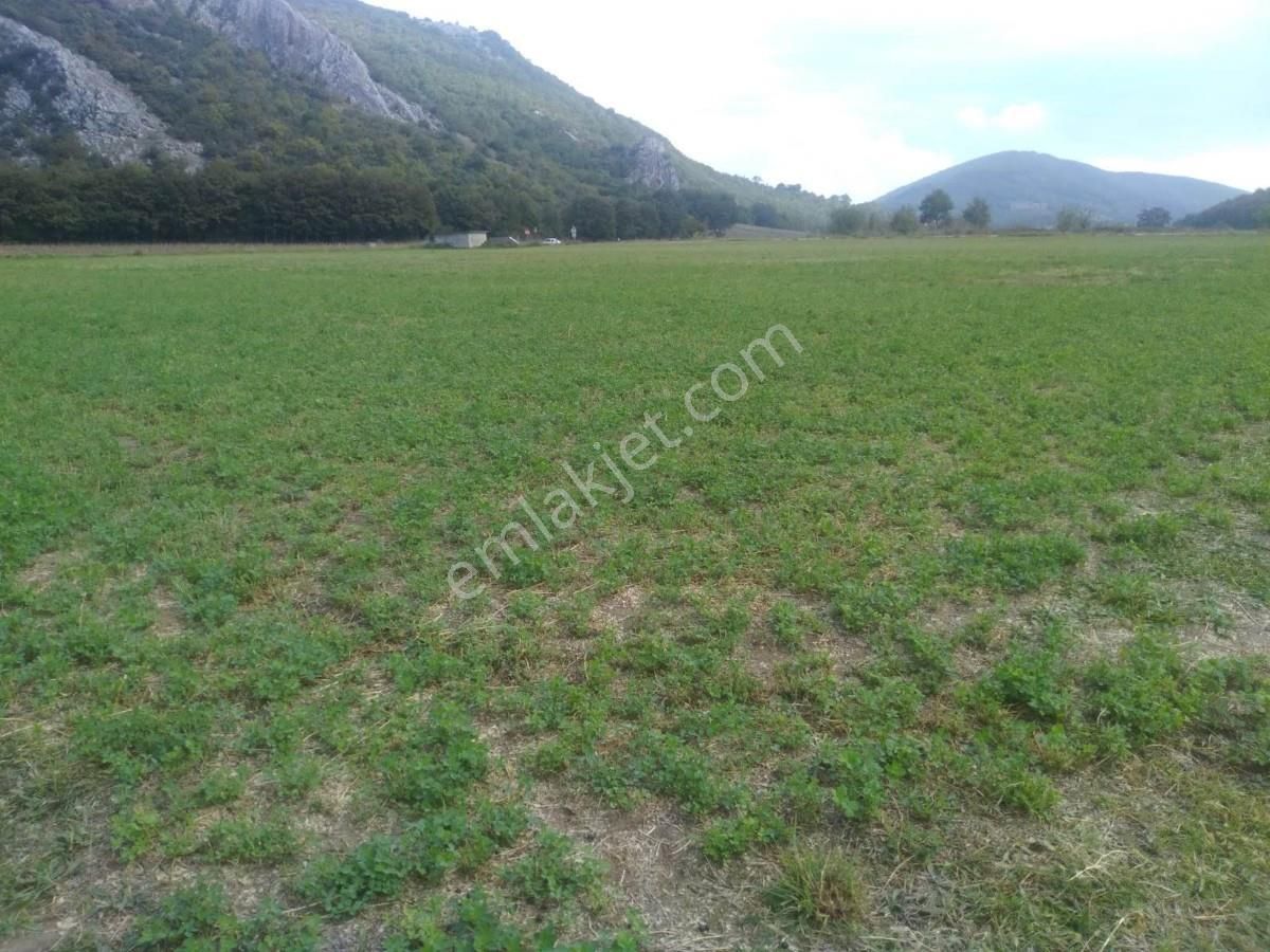 Bursa Yenişehirde Kaçmaz Fırsat ! 23.427 M² Yola Cepheli Tarla - Görsel 30