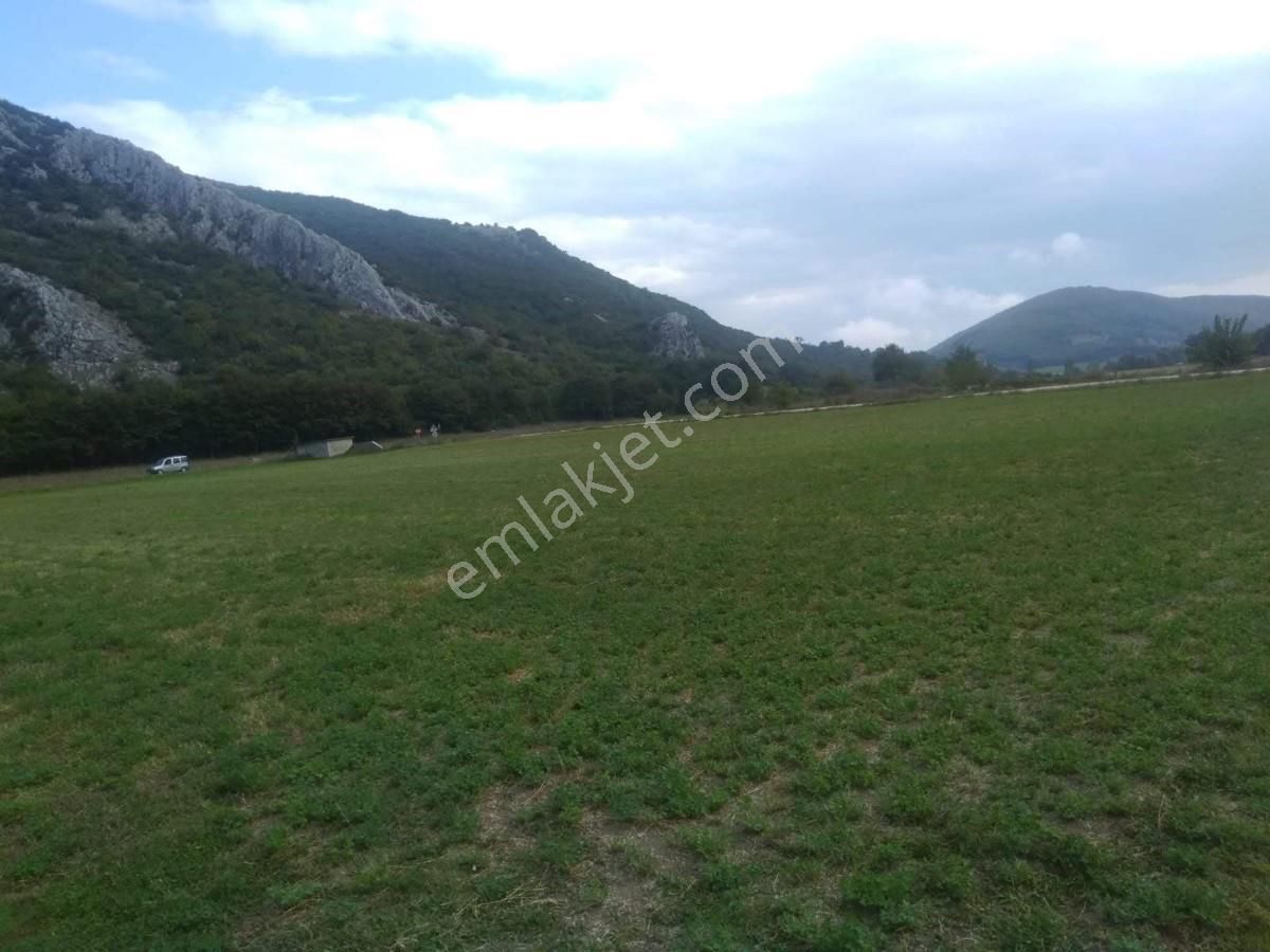 Bursa Yenişehirde Kaçmaz Fırsat ! 23.427 M² Yola Cepheli Tarla - Görsel 20