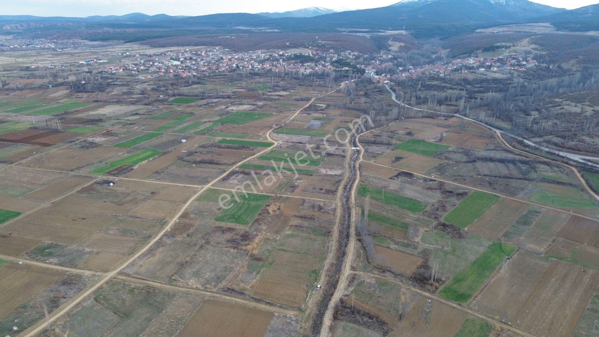 Doğanhisarda Yerleşime Yakın Sulak Dereye Cephe 1.047 M² Bahçelik - Görsel 27