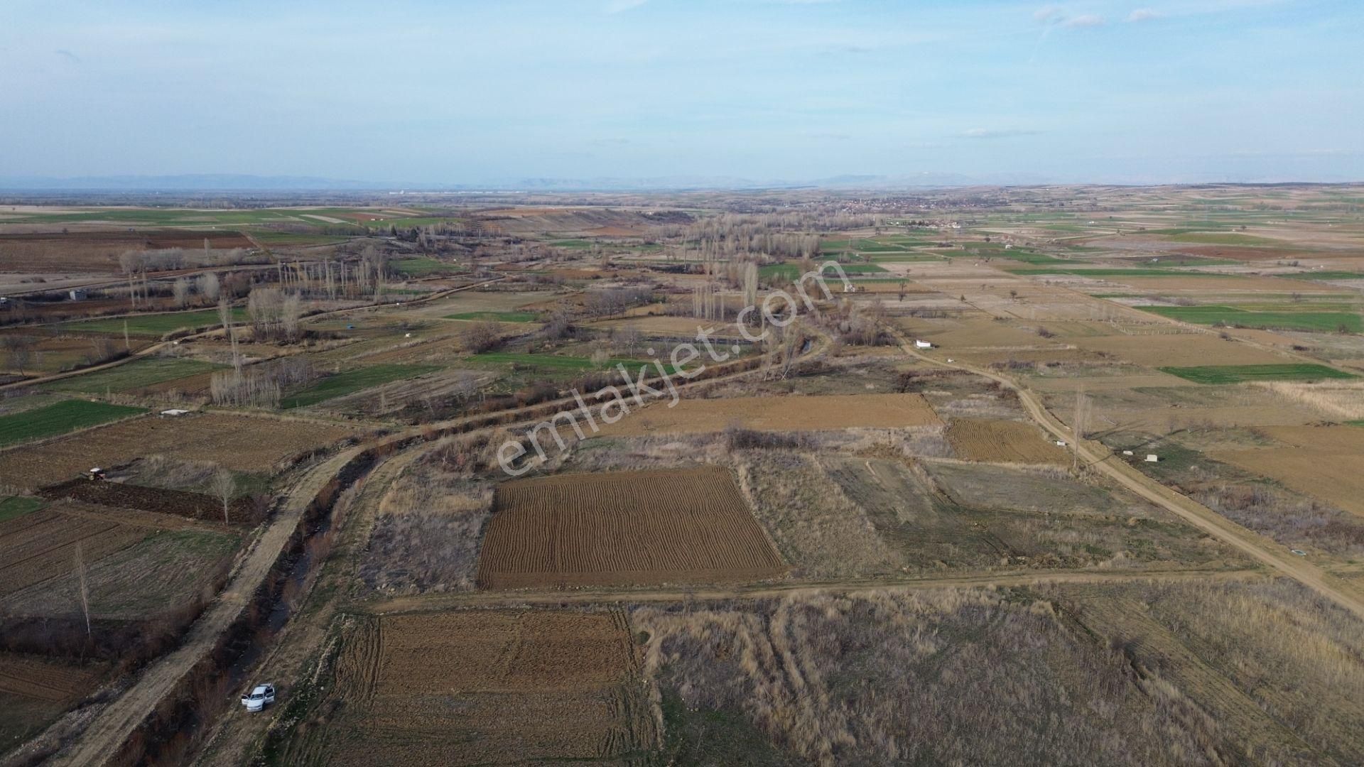 Doğanhisarda Yerleşime Yakın Sulak Dereye Cephe 1.047 M² Bahçelik - Görsel 16