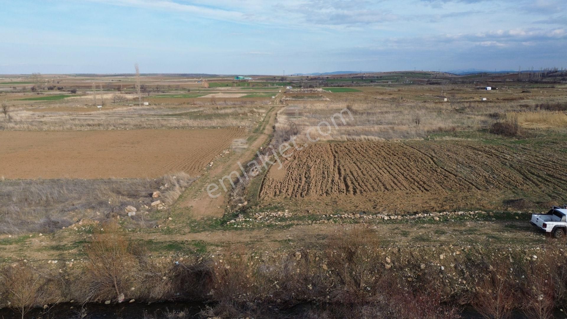 Doğanhisarda Yerleşime Yakın Sulak Dereye Cephe 1.047 M² Bahçelik - Görsel 9
