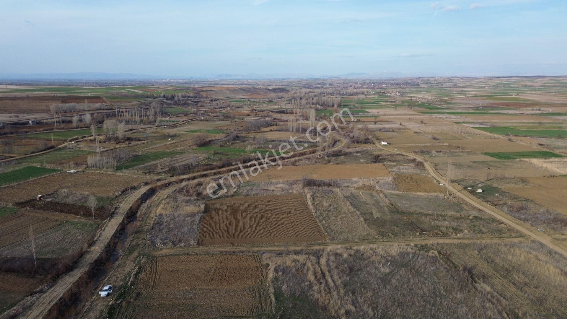 Doğanhisarda Yerleşime Yakın Sulak Dereye Cephe 1.047 M² Bahçelik - Görsel 17