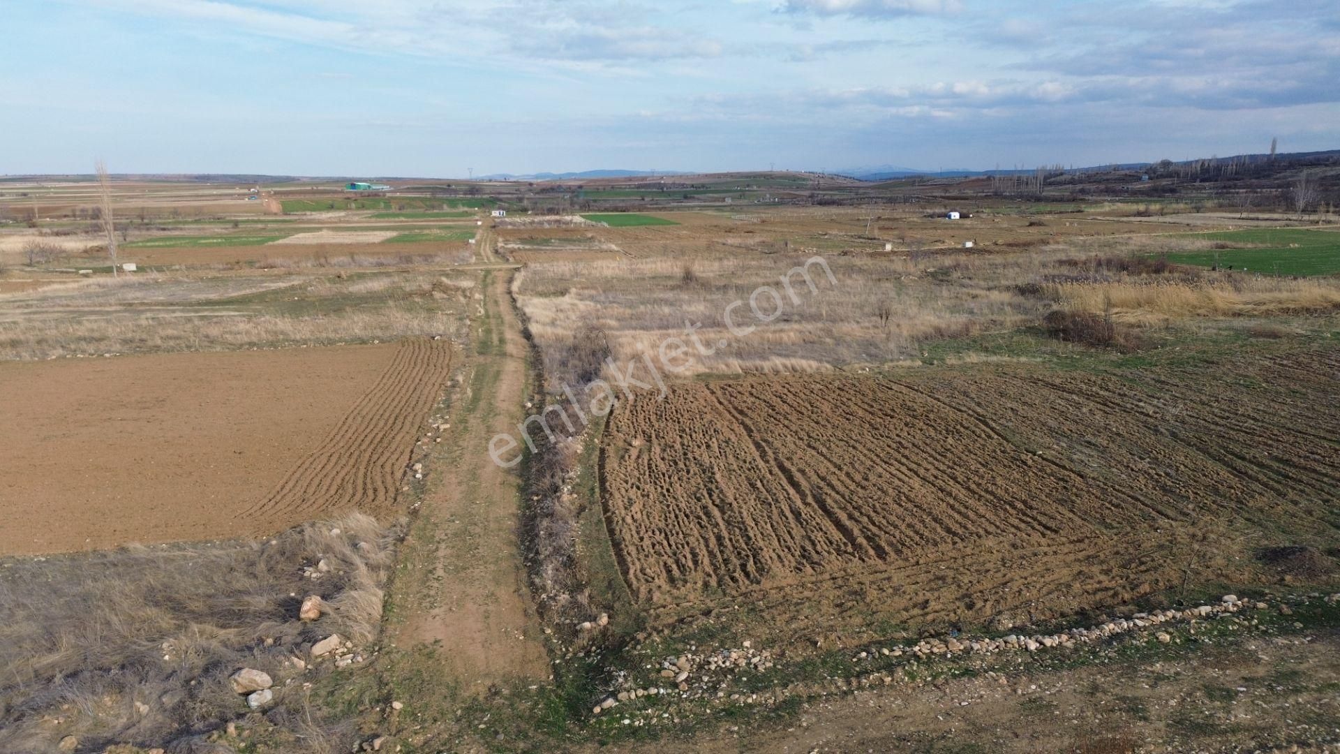 Doğanhisarda Yerleşime Yakın Sulak Dereye Cephe 1.047 M² Bahçelik - Görsel 15