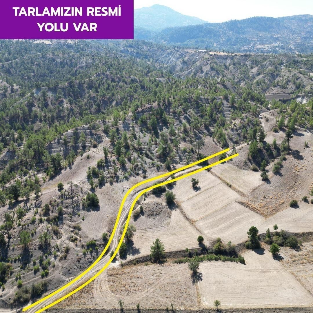 Lobby Fortis'ten Çameli Güzelyurt'ta 7914 M² Yatırımlık Tarlamız Satılıktır. - Görsel 3