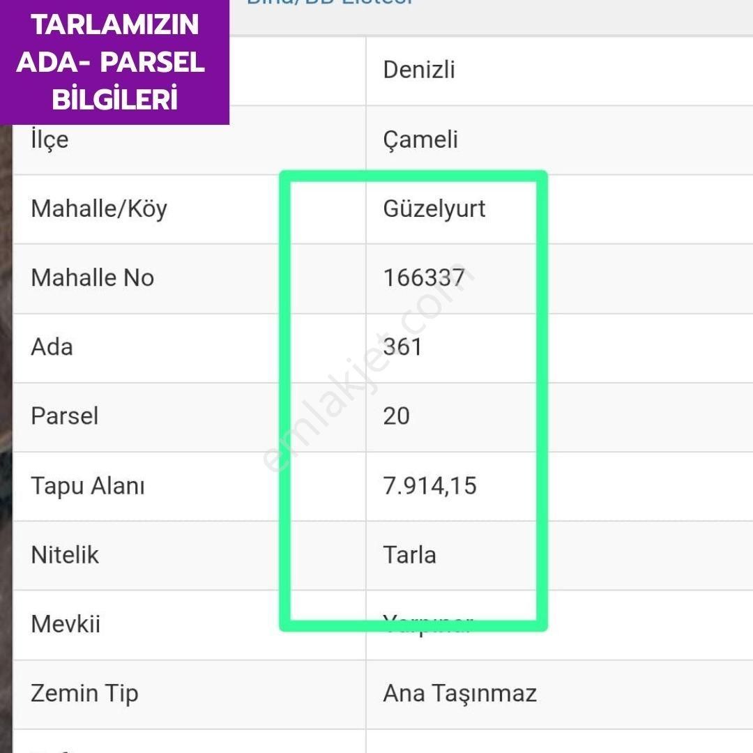 Lobby Fortis'ten Çameli Güzelyurt'ta 7914 M² Yatırımlık Tarlamız Satılıktır. - Görsel 8