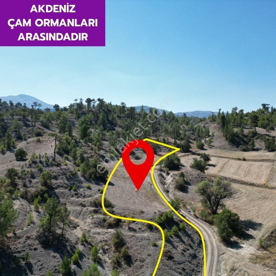 Lobby Fortis'ten Çameli Güzelyurt'ta 7914 M² Yatırımlık Tarlamız Satılıktır. - Görsel 4