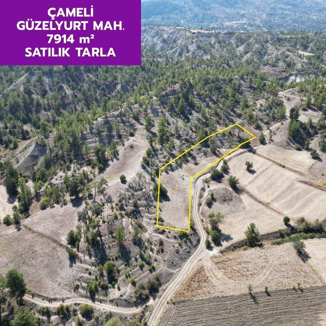 Lobby Fortis'ten Çameli Güzelyurt'ta 7914 M² Yatırımlık Tarlamız Satılıktır.