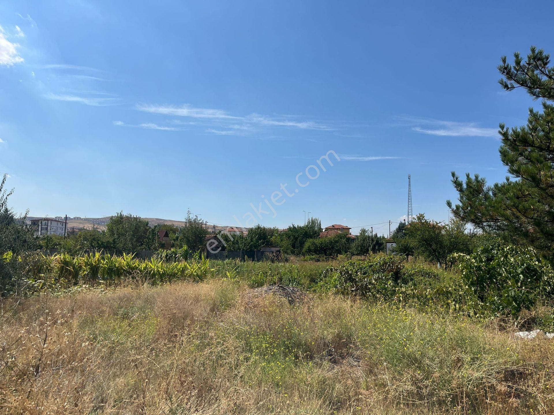 Nova'dan Millet Bahçesinin Yanında 1000 M2 Arsa - Görsel 5