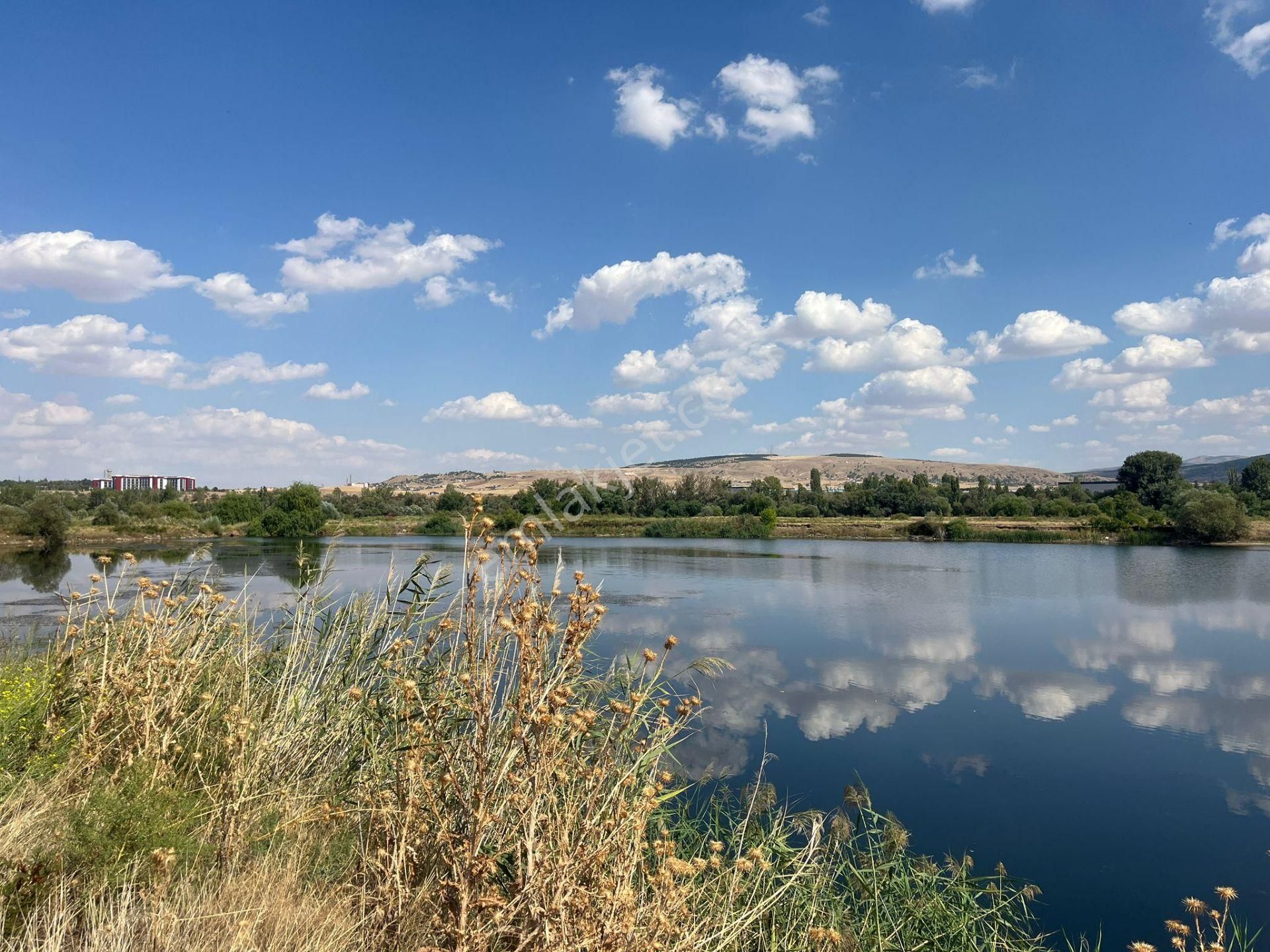 Nova'dan Millet Bahçesinin Yanında 1000 M2 Arsa - Görsel 8