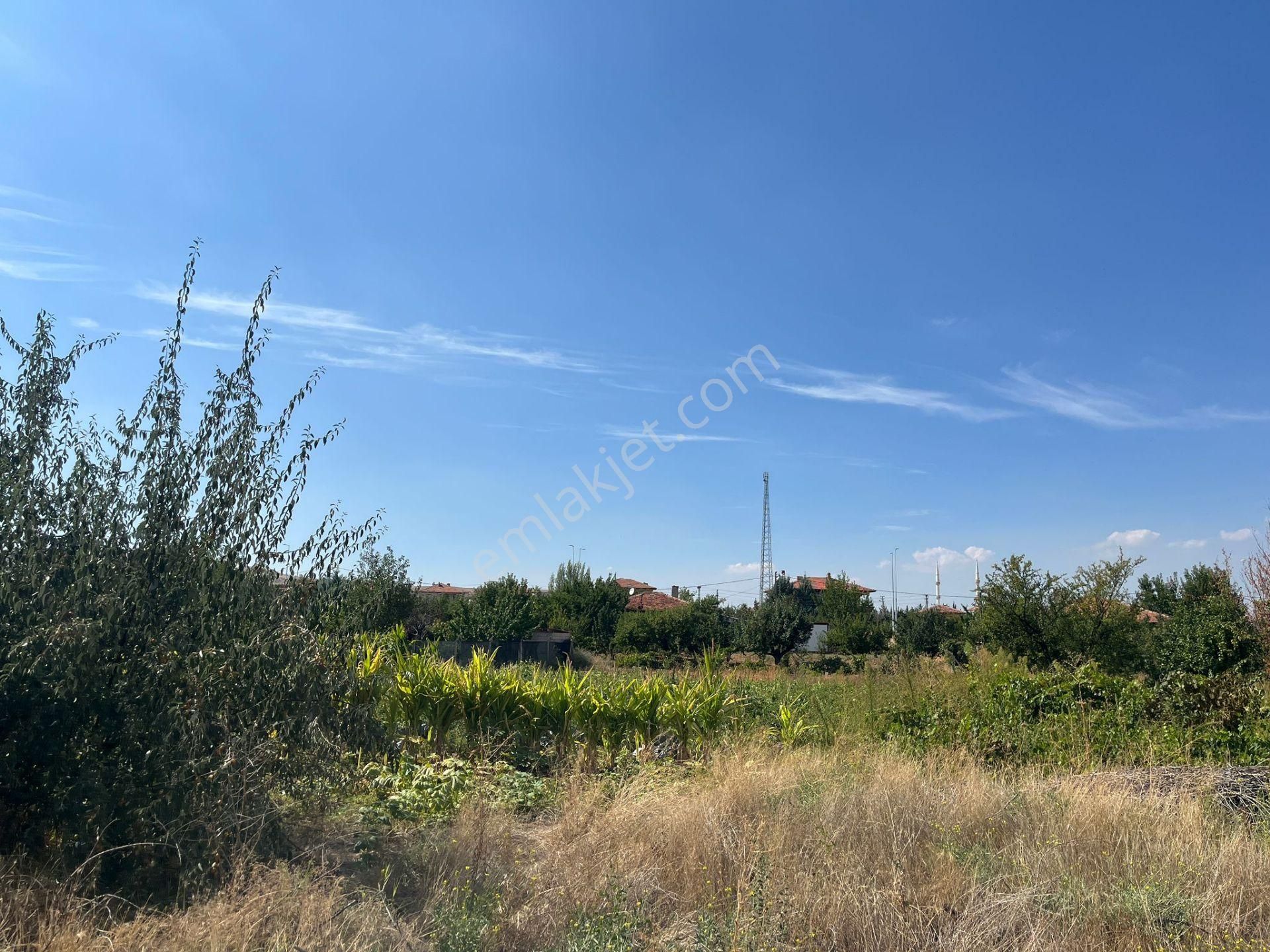 Nova'dan Millet Bahçesinin Yanında 1000 M2 Arsa - Görsel 4