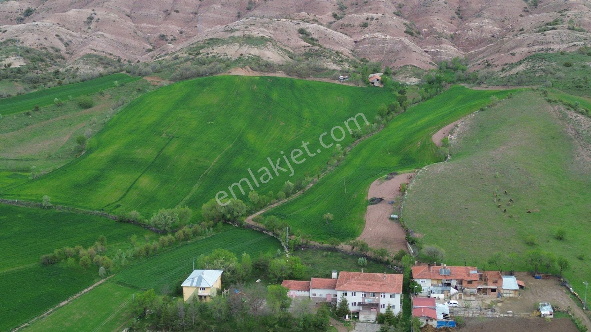 Tokat / Artova / Ağmusa Mahallesinde 4.851 M² Müstakil Tapulu Tarla - Görsel 22