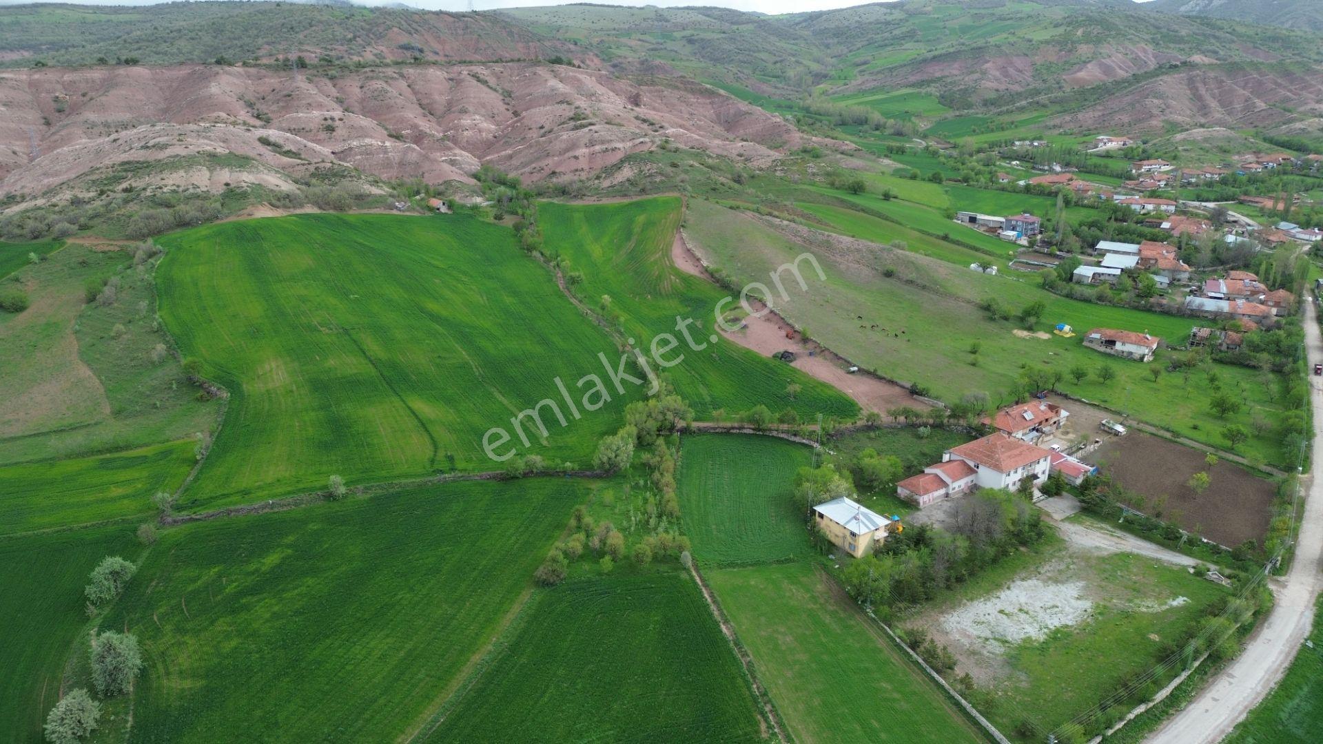 Tokat / Artova / Ağmusa Mahallesinde 4.851 M² Müstakil Tapulu Tarla - Görsel 15