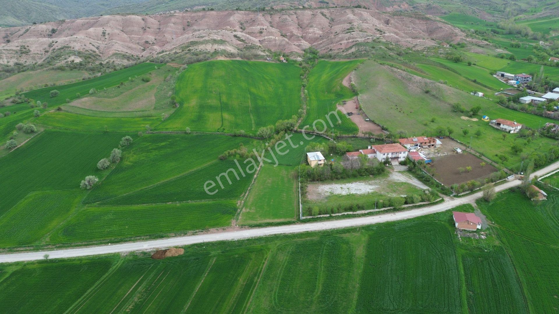 Tokat / Artova / Ağmusa Mahallesinde 4.851 M² Müstakil Tapulu Tarla - Görsel 18