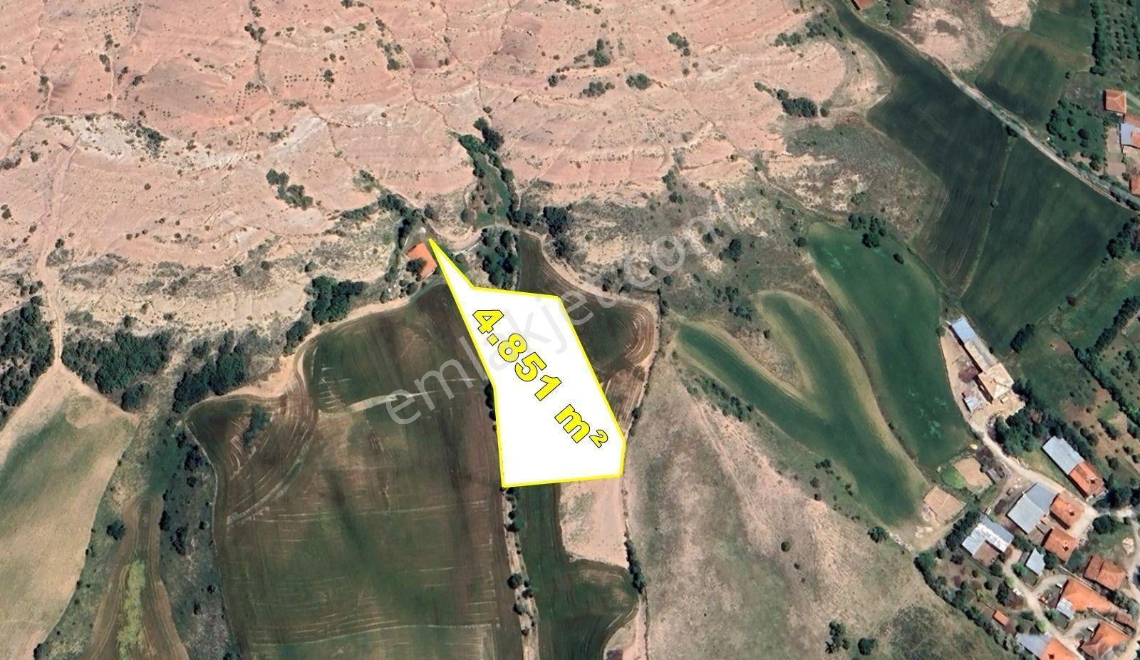 Tokat / Artova / Ağmusa Mahallesinde 4.851 M² Müstakil Tapulu Tarla - Görsel 2