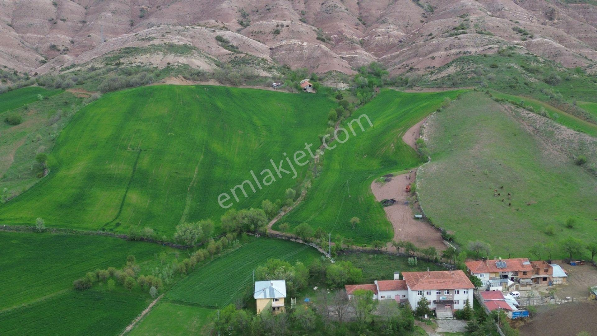 Tokat / Artova / Ağmusa Mahallesinde 4.851 M² Müstakil Tapulu Tarla - Görsel 23
